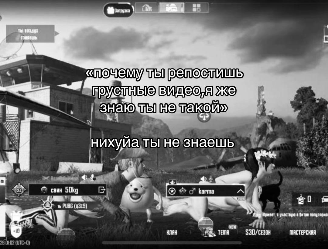 @свин