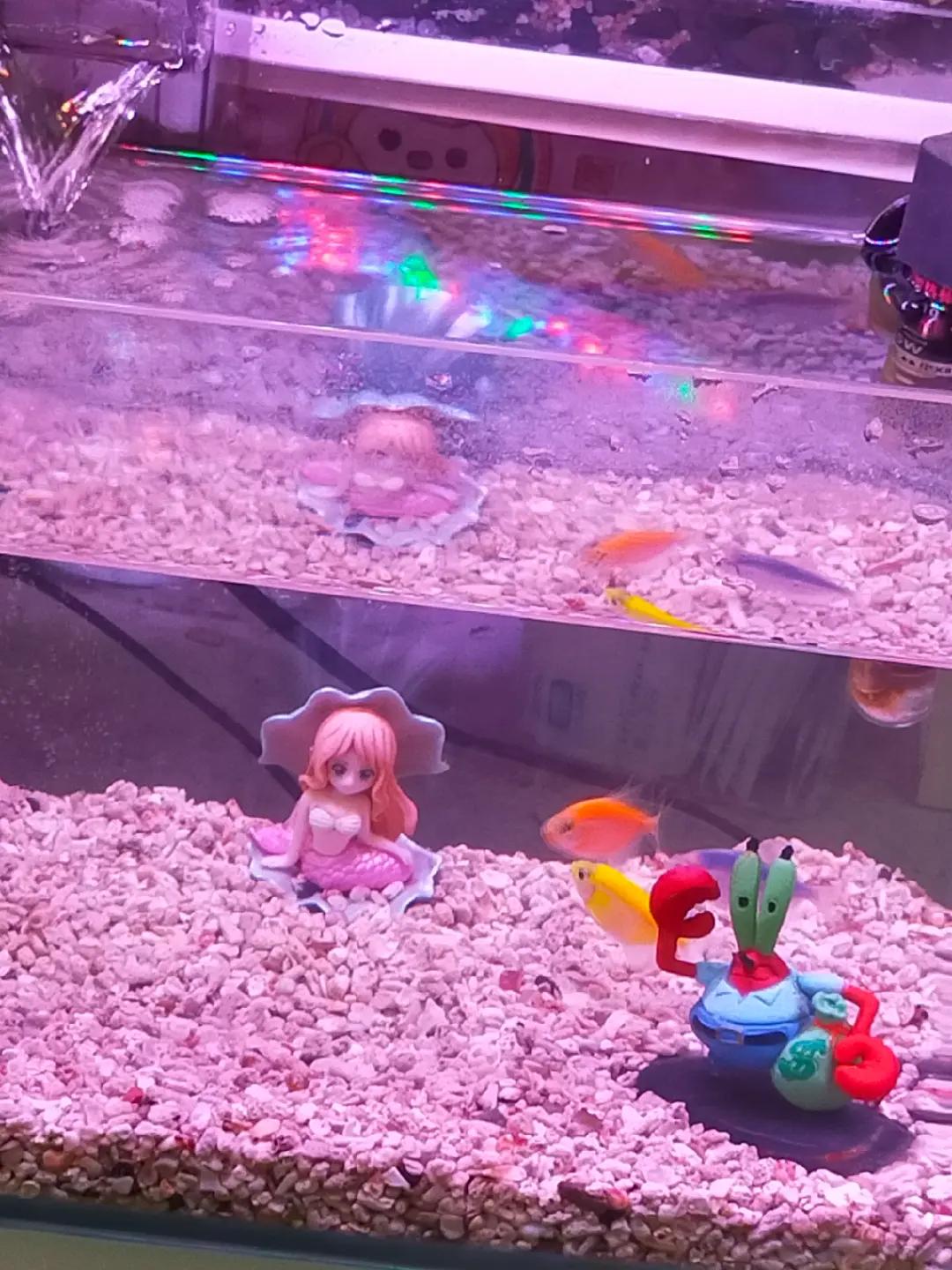 @小魚兒