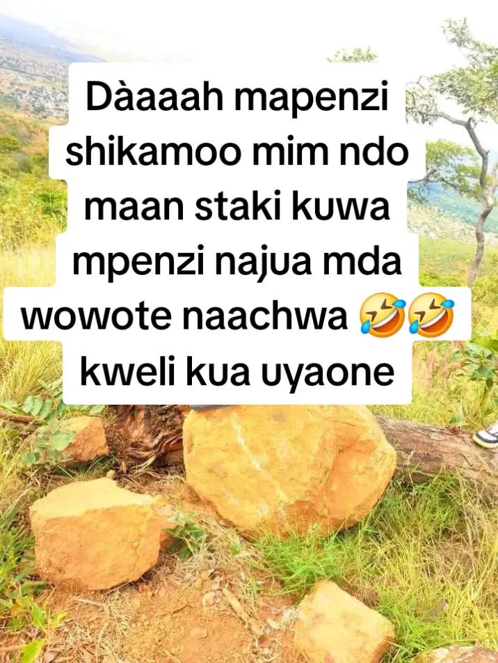 @site tz