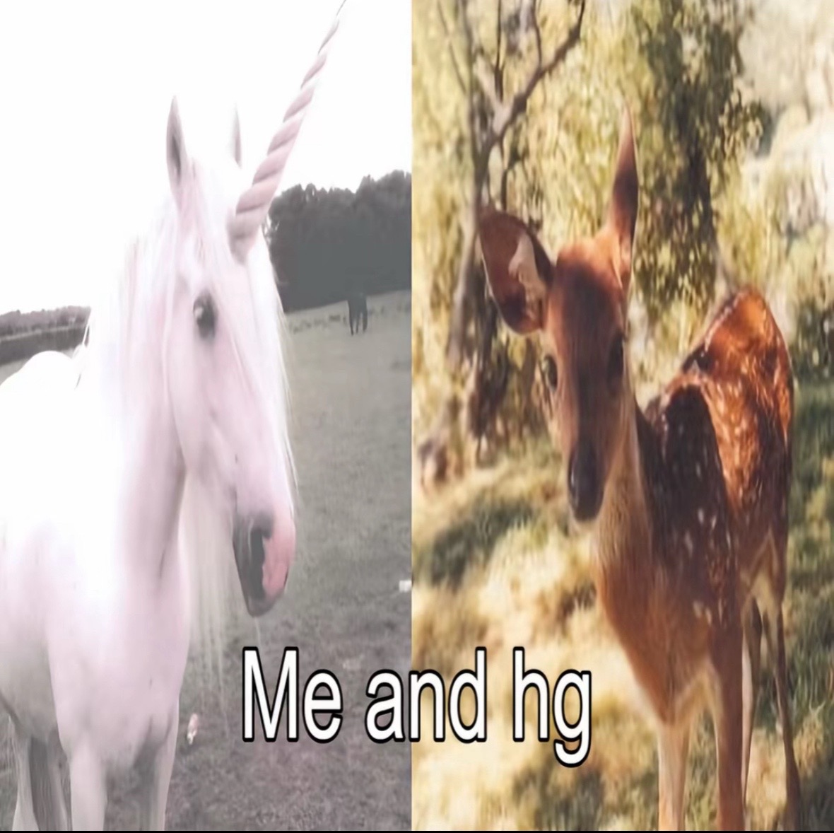 @.ೃ࿔*:・𝒦𝒶𝓂𝒾𝒶𝒽.ೃ࿔*:・🦄🍩