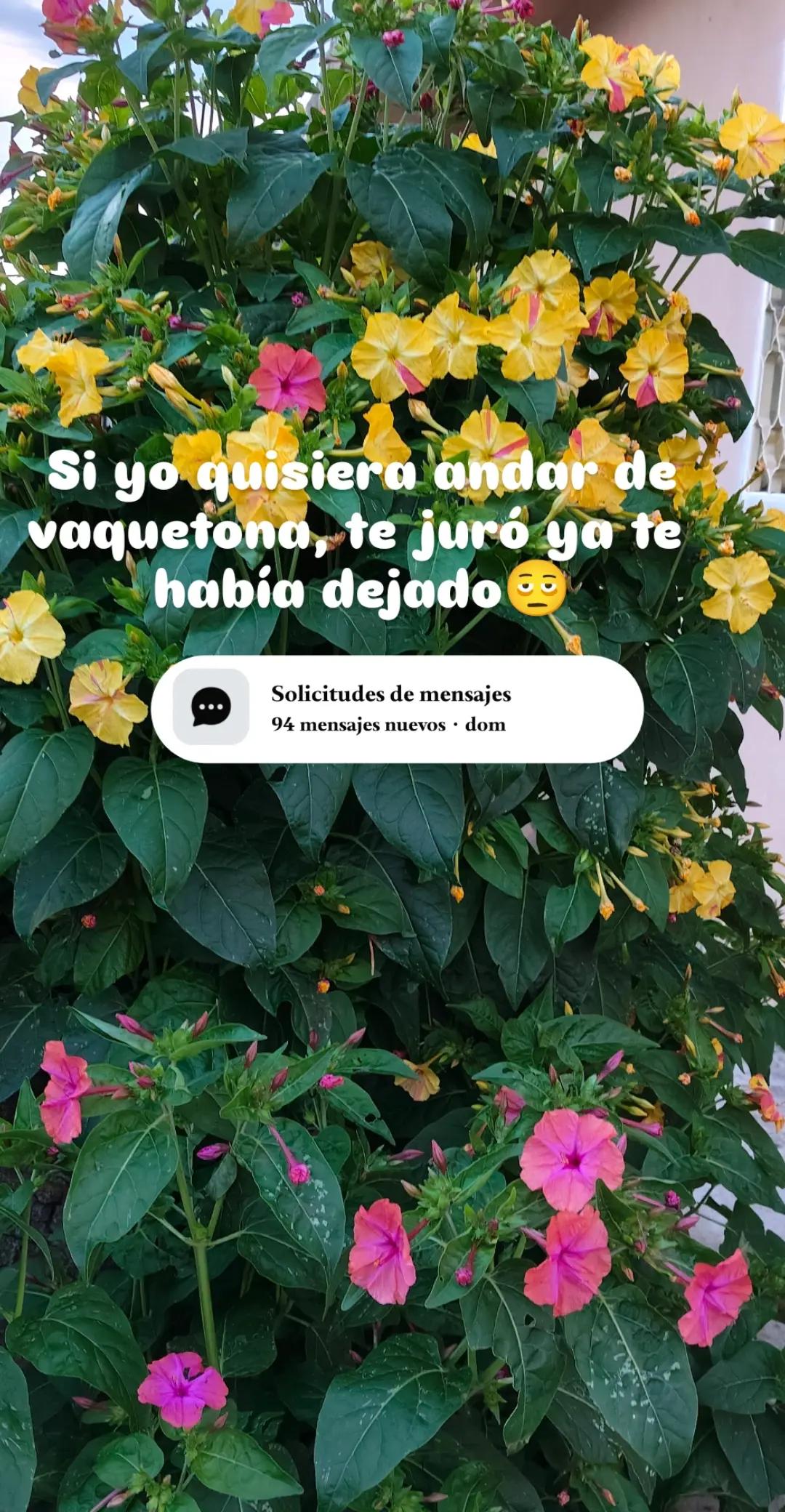 @𝐅 𝐚 𝐧 𝐧 𝐲 ᥫ᭡