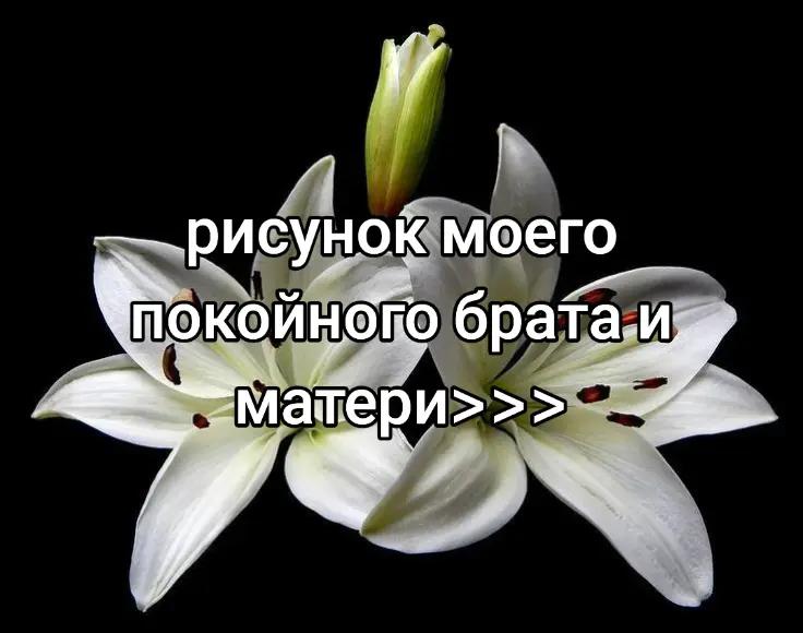 @Мут