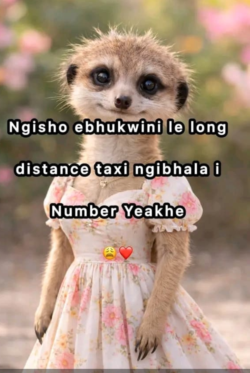 @Lucky zikalala