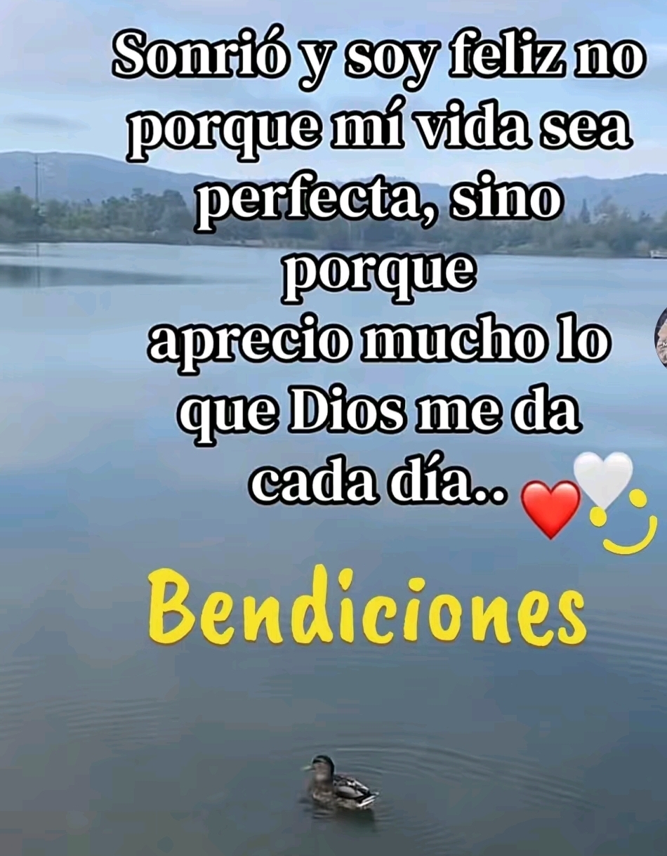 @rosi