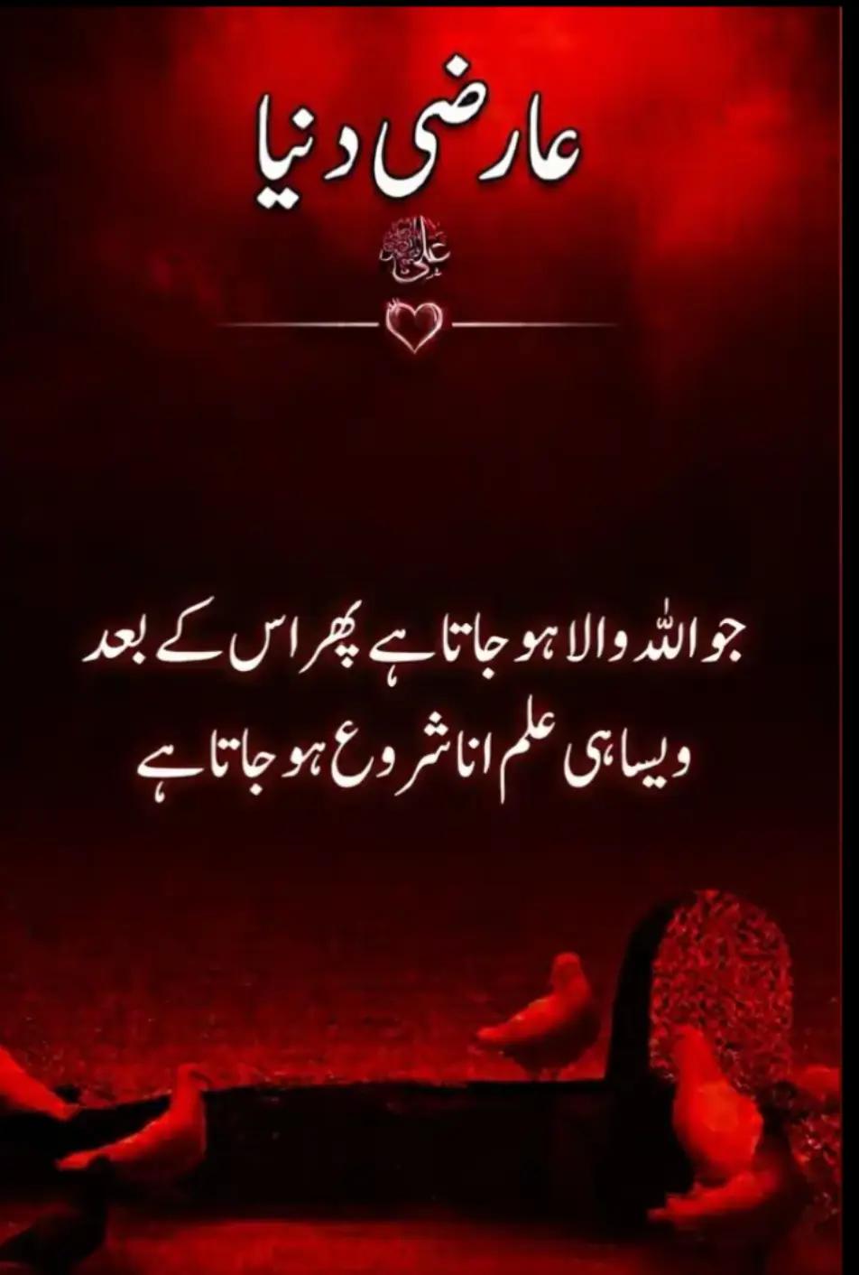 @🚩موسئ راجپوت😈