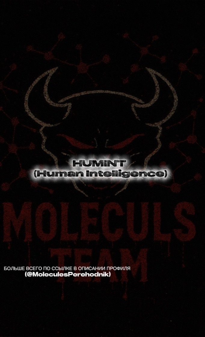 @Molecul