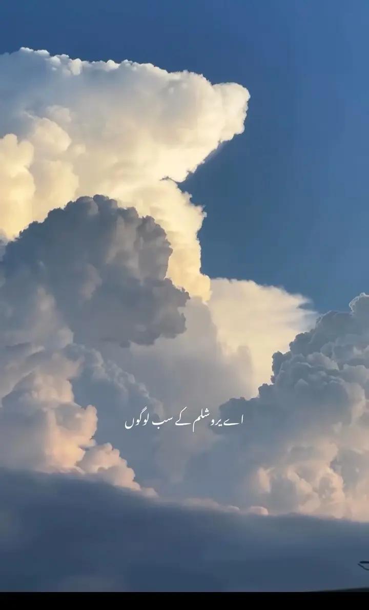 @چٹا صاحب 214✨🖤