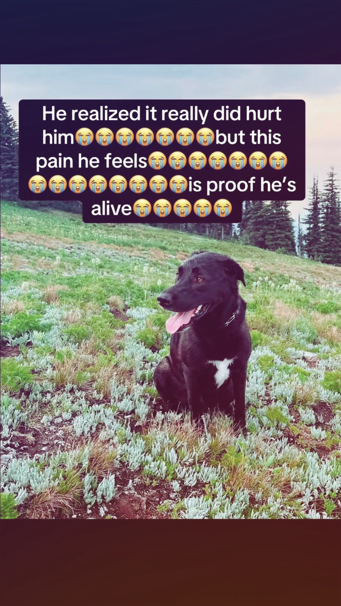 @fruity_pebble_lover69