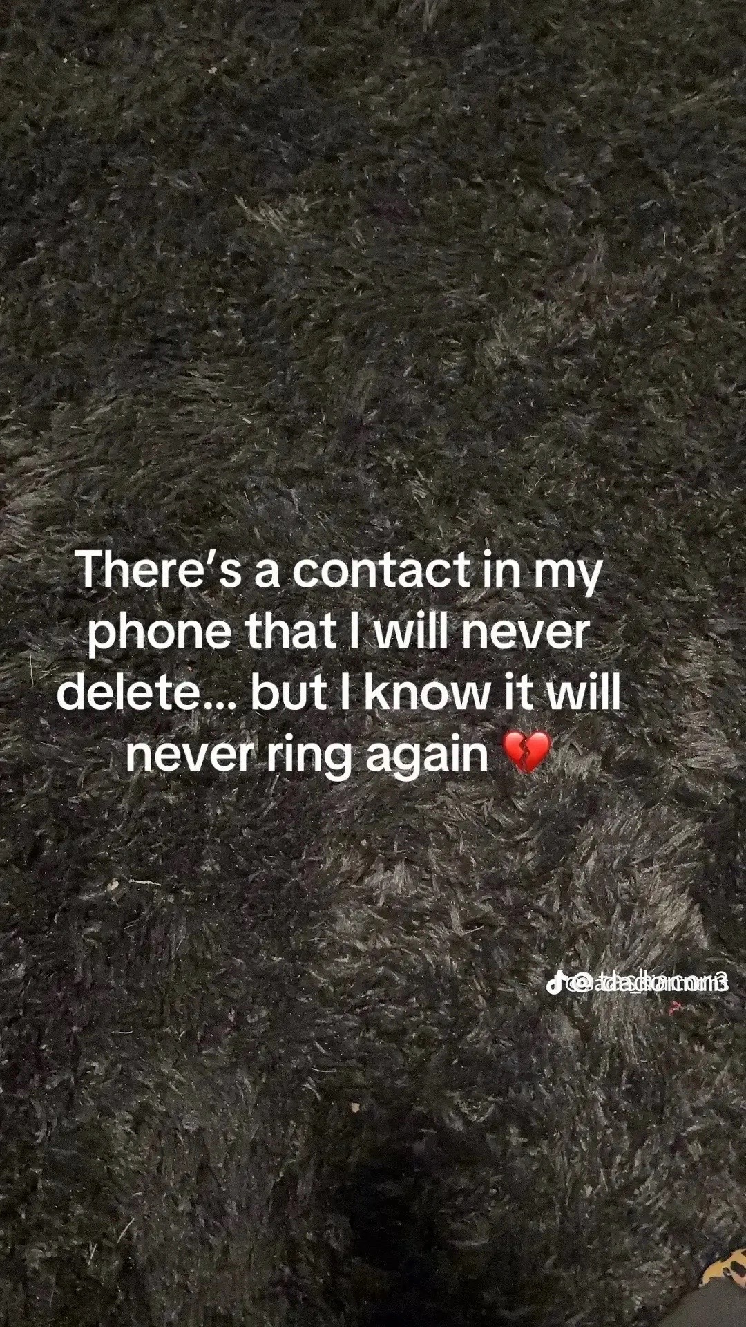 @Ky Irlbacher