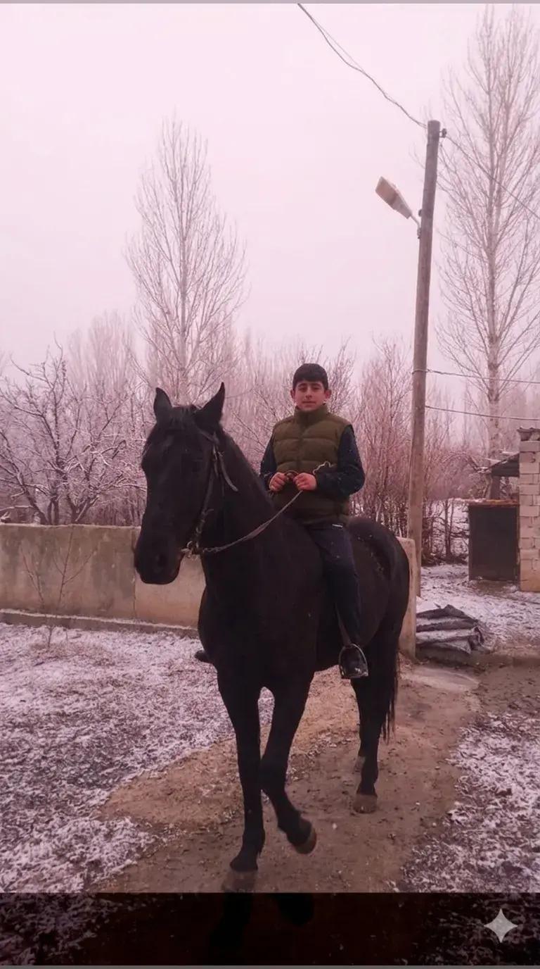 @Şervan_bdyy