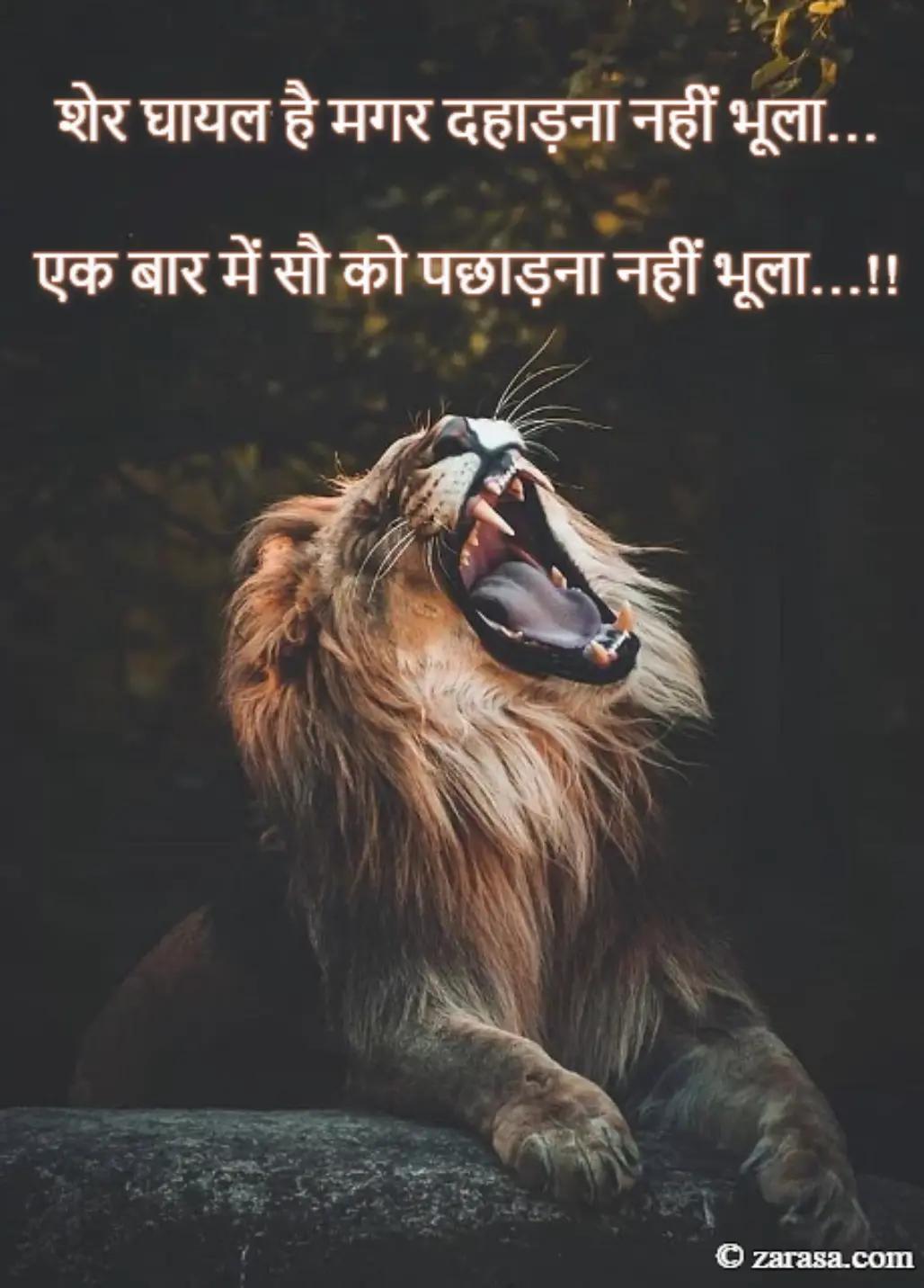 @Satya king Surendra mhera 👑