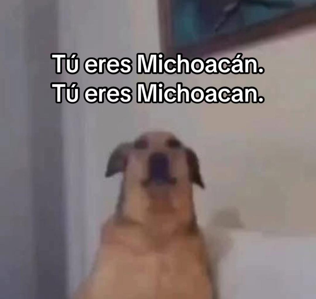 @Oso1819