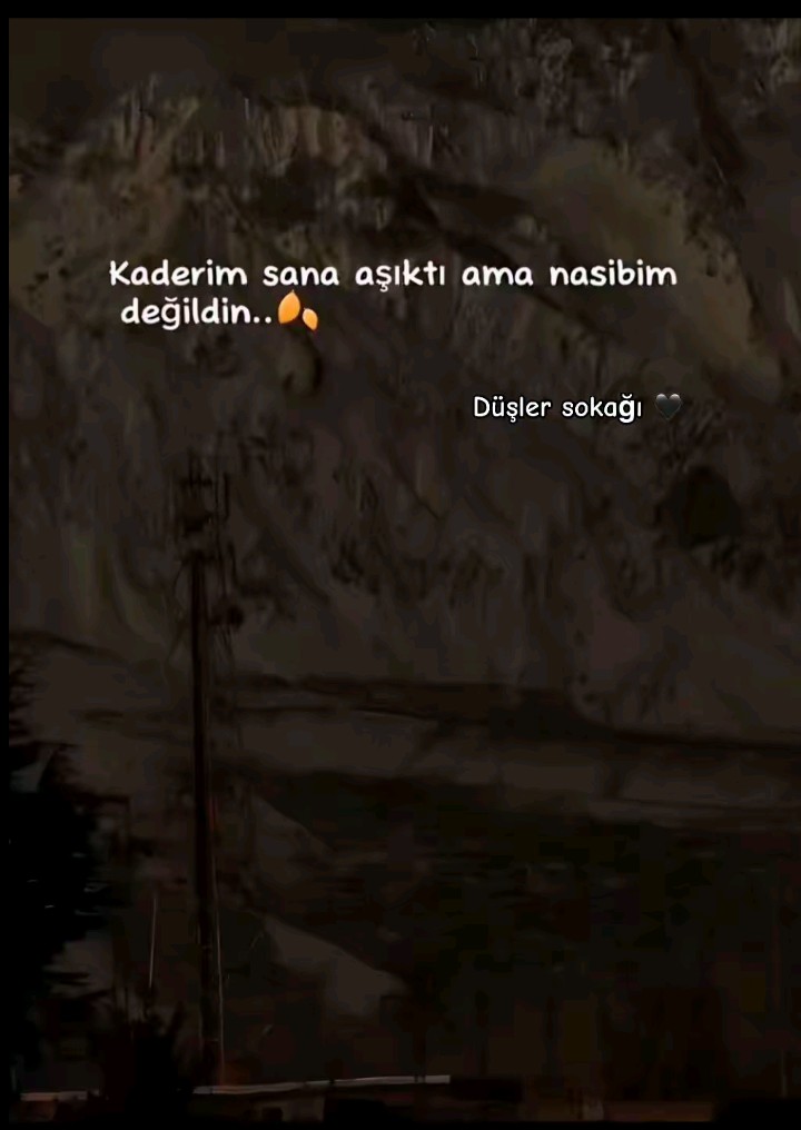 @Ece soner