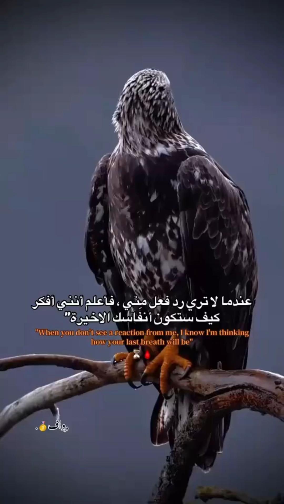 @﮼الموبس🎭