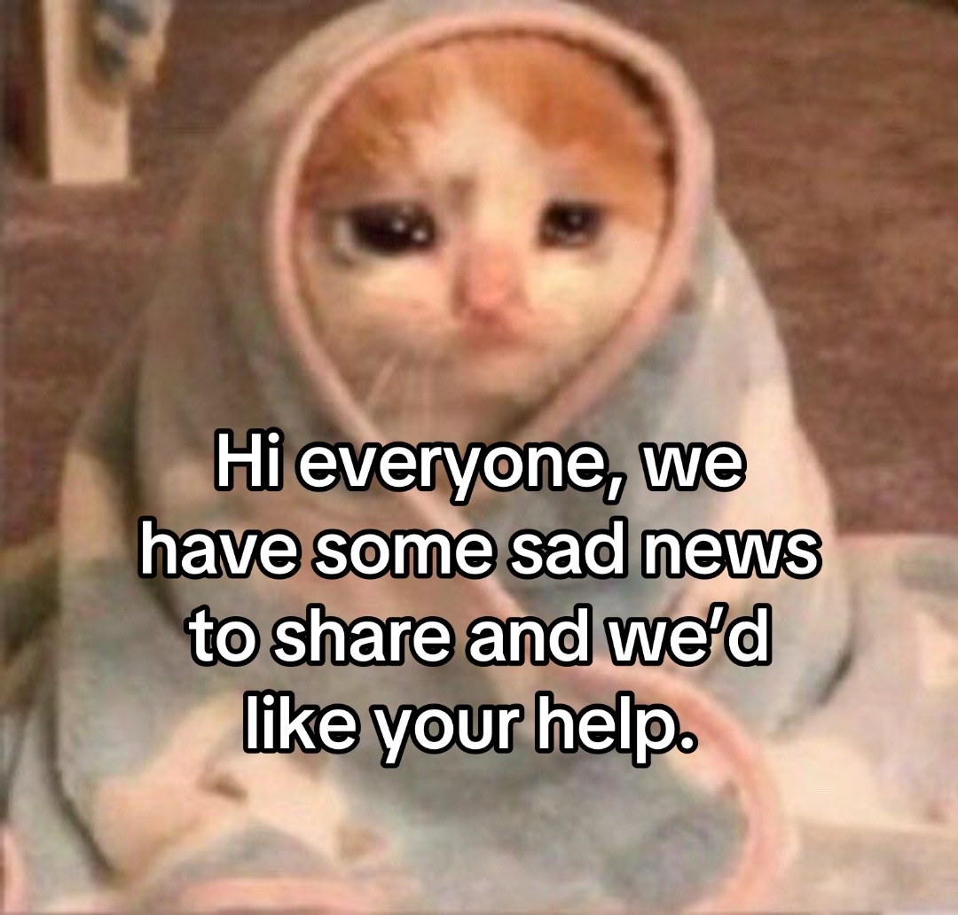 @KittyAngelRescue