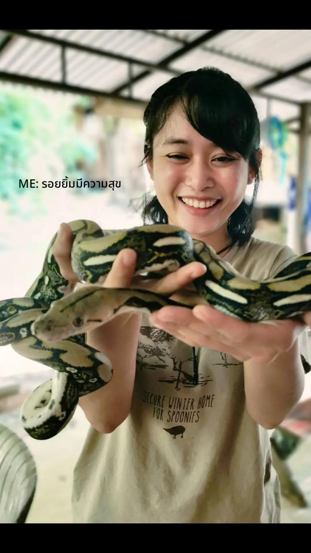 @นักวิจัยสาวนามว่าทิฟฟี่🌻☘️🐥
