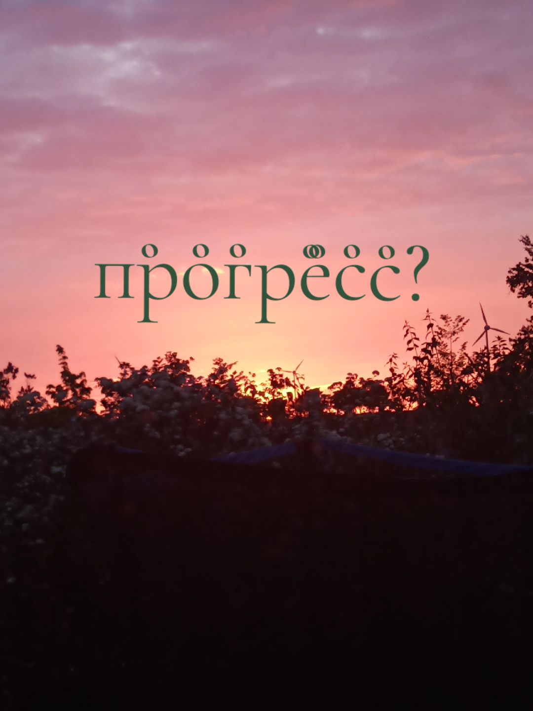 @≽^•⩊•^≼>тая зая <