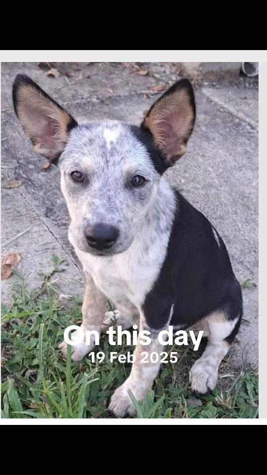 @🇦🇺🇦🇺🇦🇺🇦🇺🇦🇺✝️✝️✝️✝️✝️