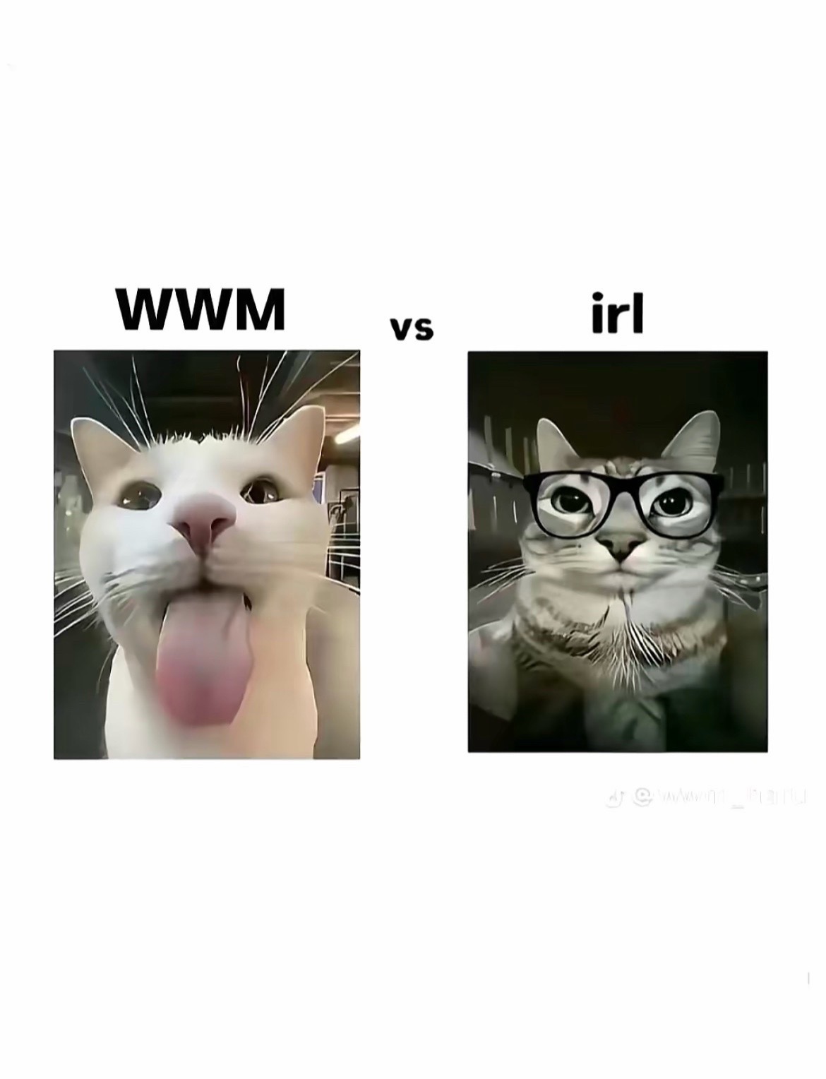 @𝔪𝔞𝔩