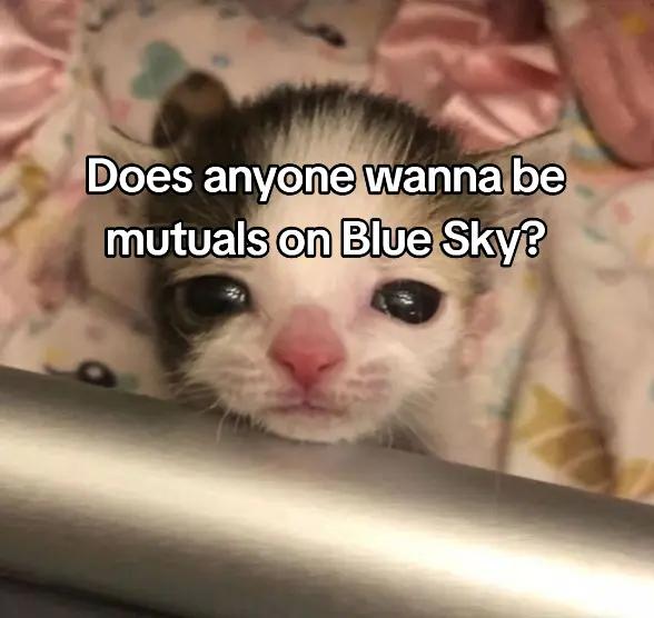 @Teratotally