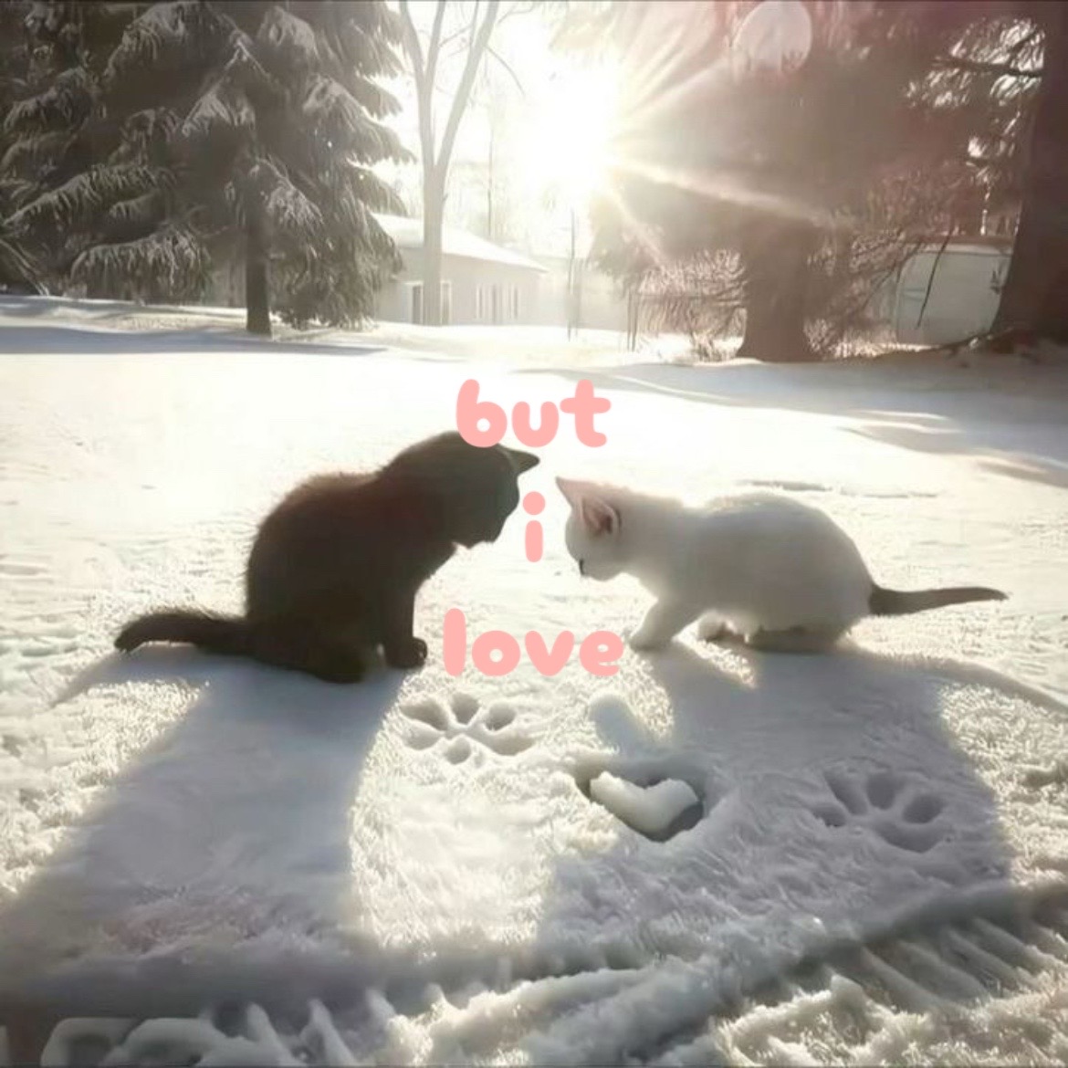 @𝐁𝐮𝐛𝐛𝐥𝐞𝐬🫧