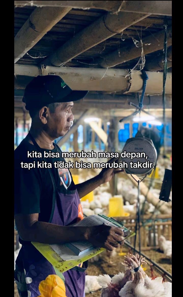 @Verr_