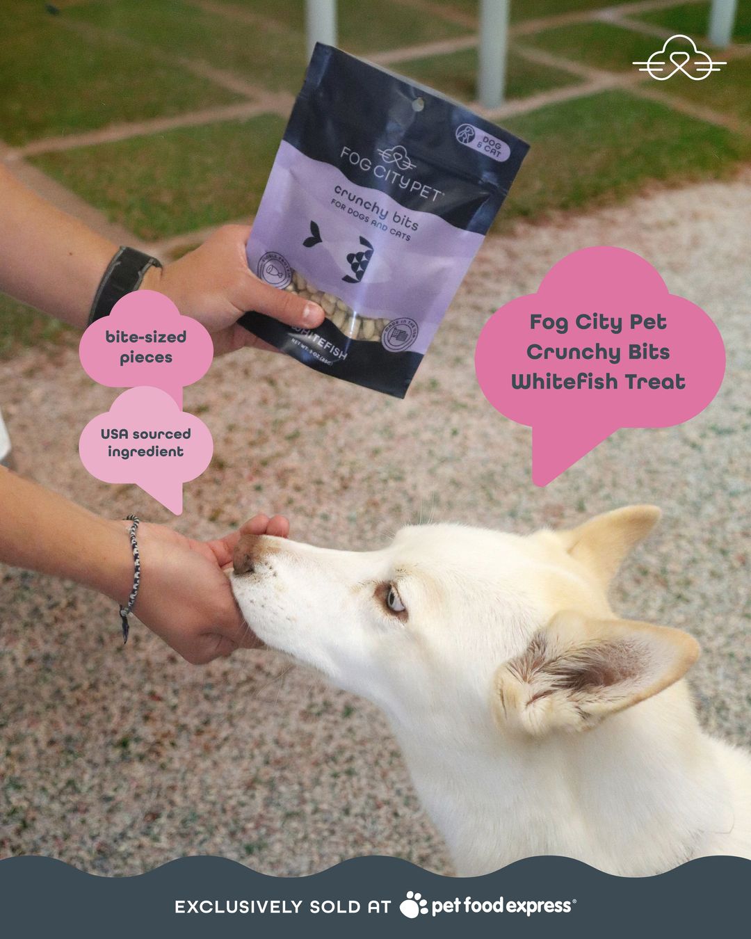 @Pet Food Express