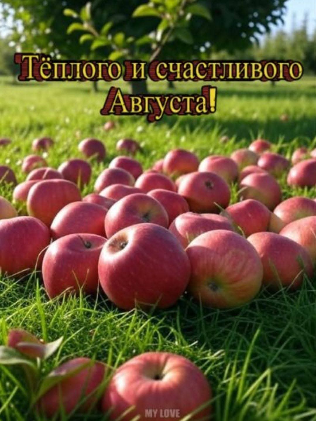 @erjan_talas