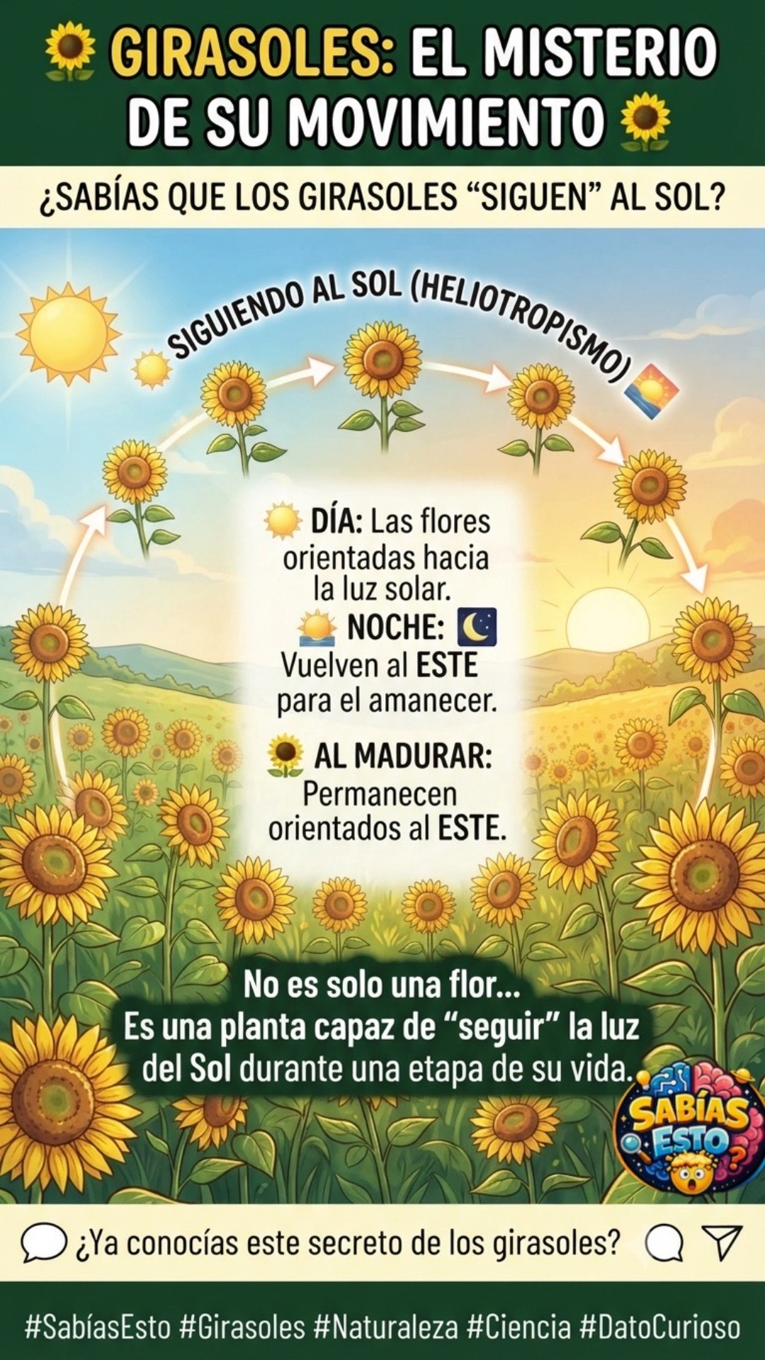 @Sab&iacute;as Esto 🔍