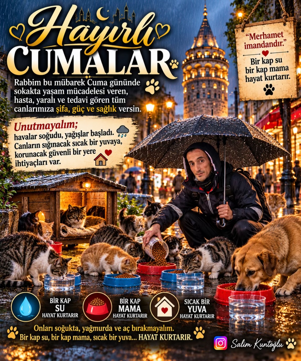 @Salim Kuntoğlu