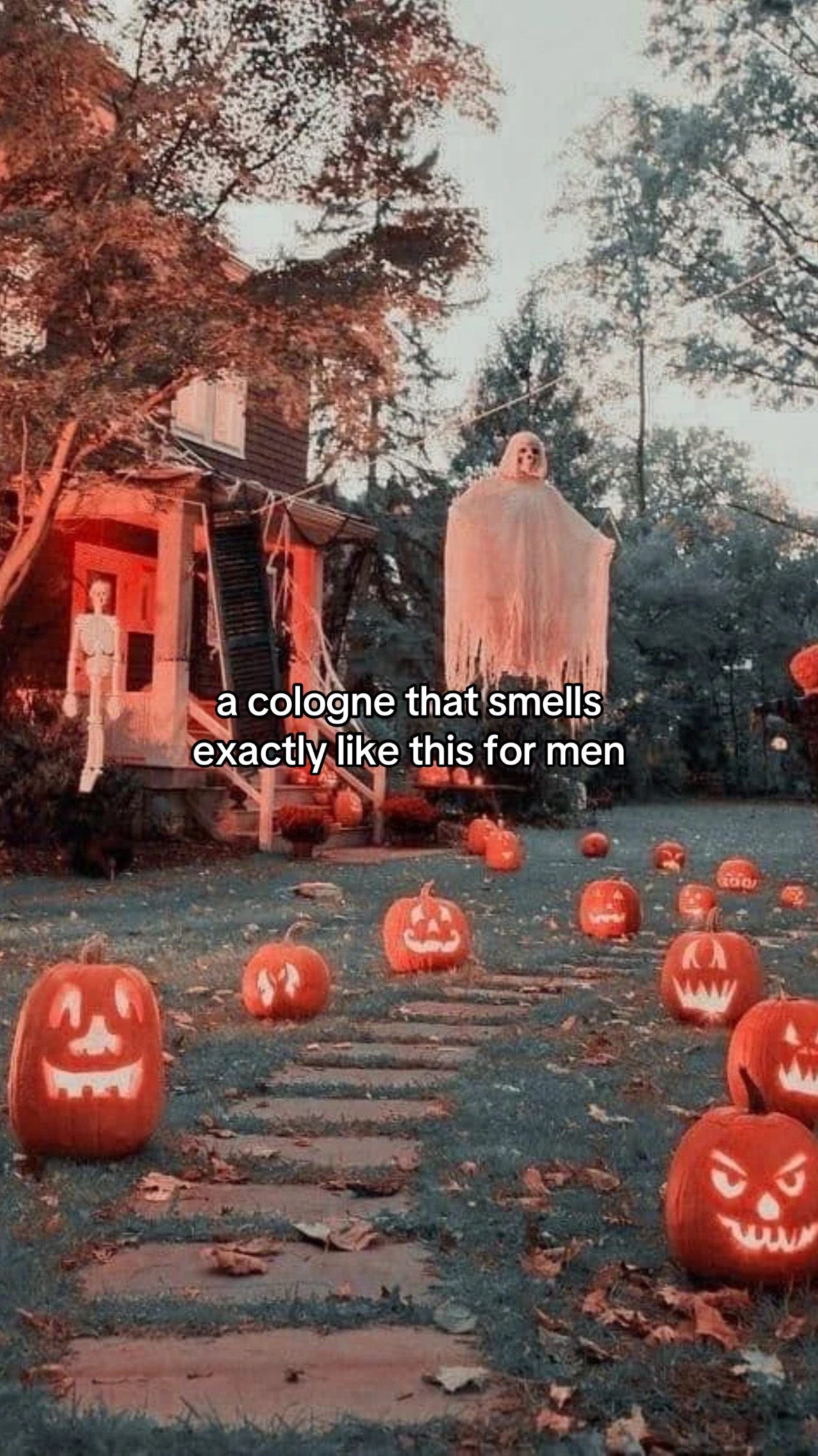 @nelaFinds