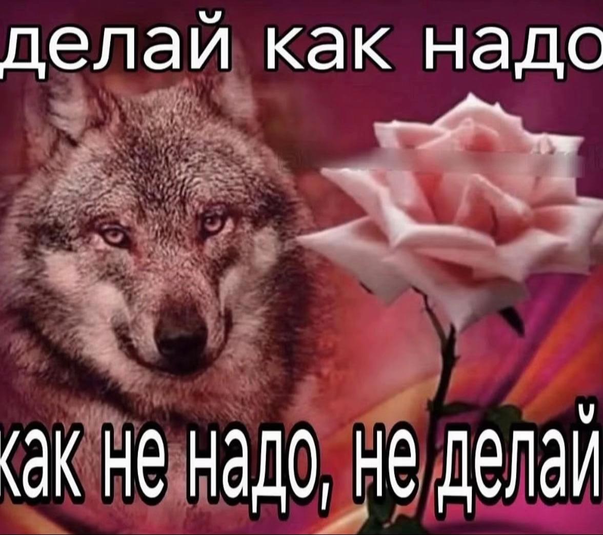 @ilyhaking