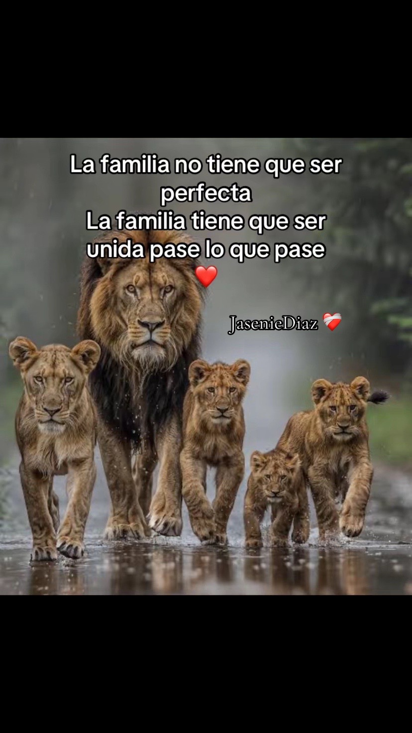 @Jasenie Diaz