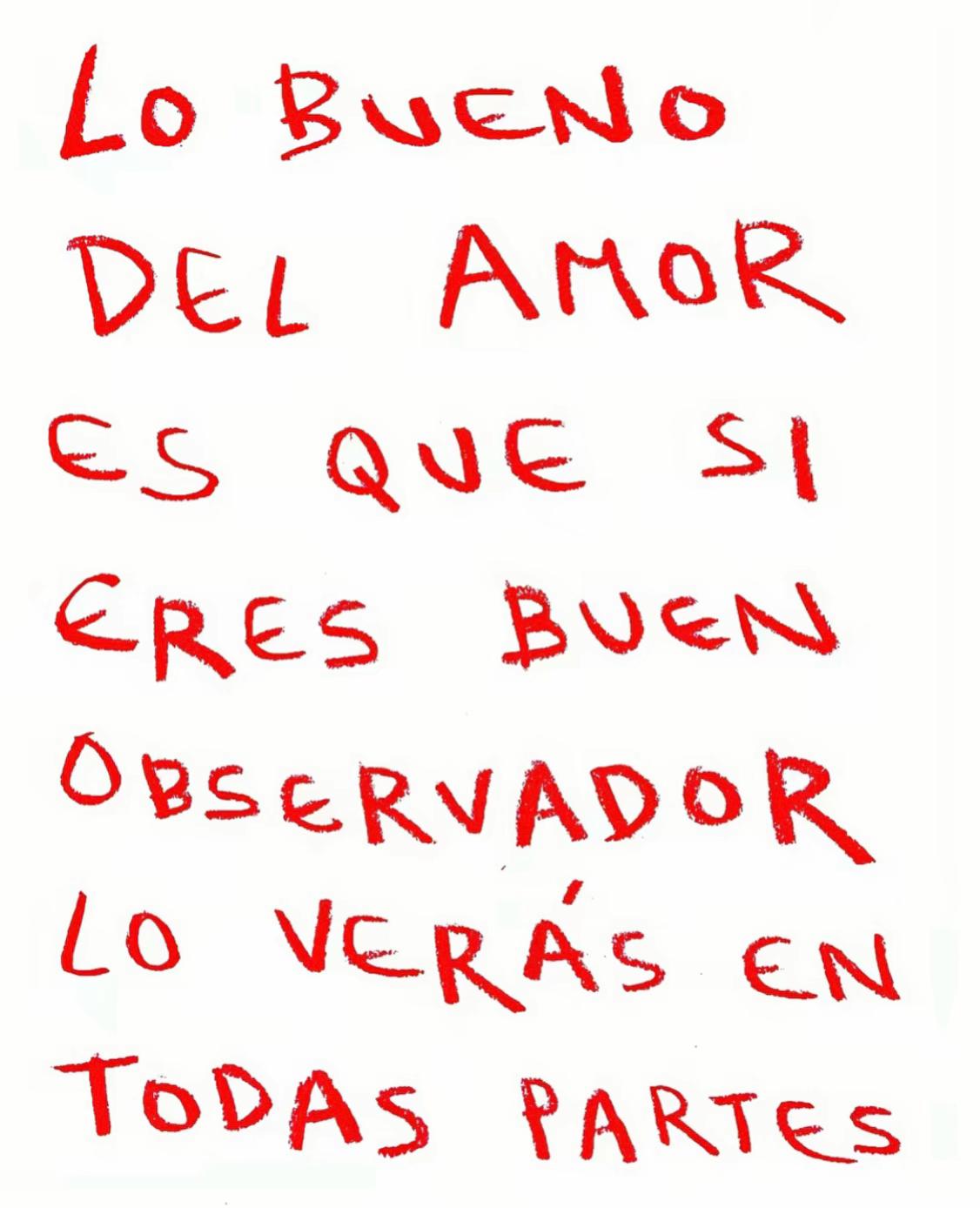 @sofi capybara