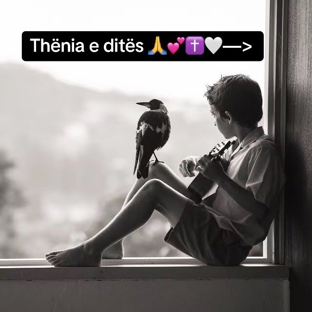 @Te njohim dashurinë e Zotit ✝️