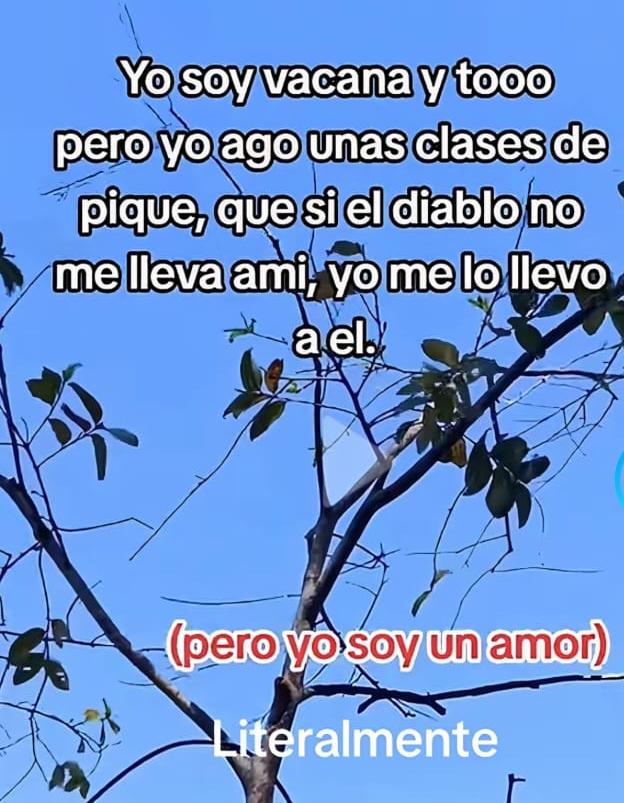 @la mami chula