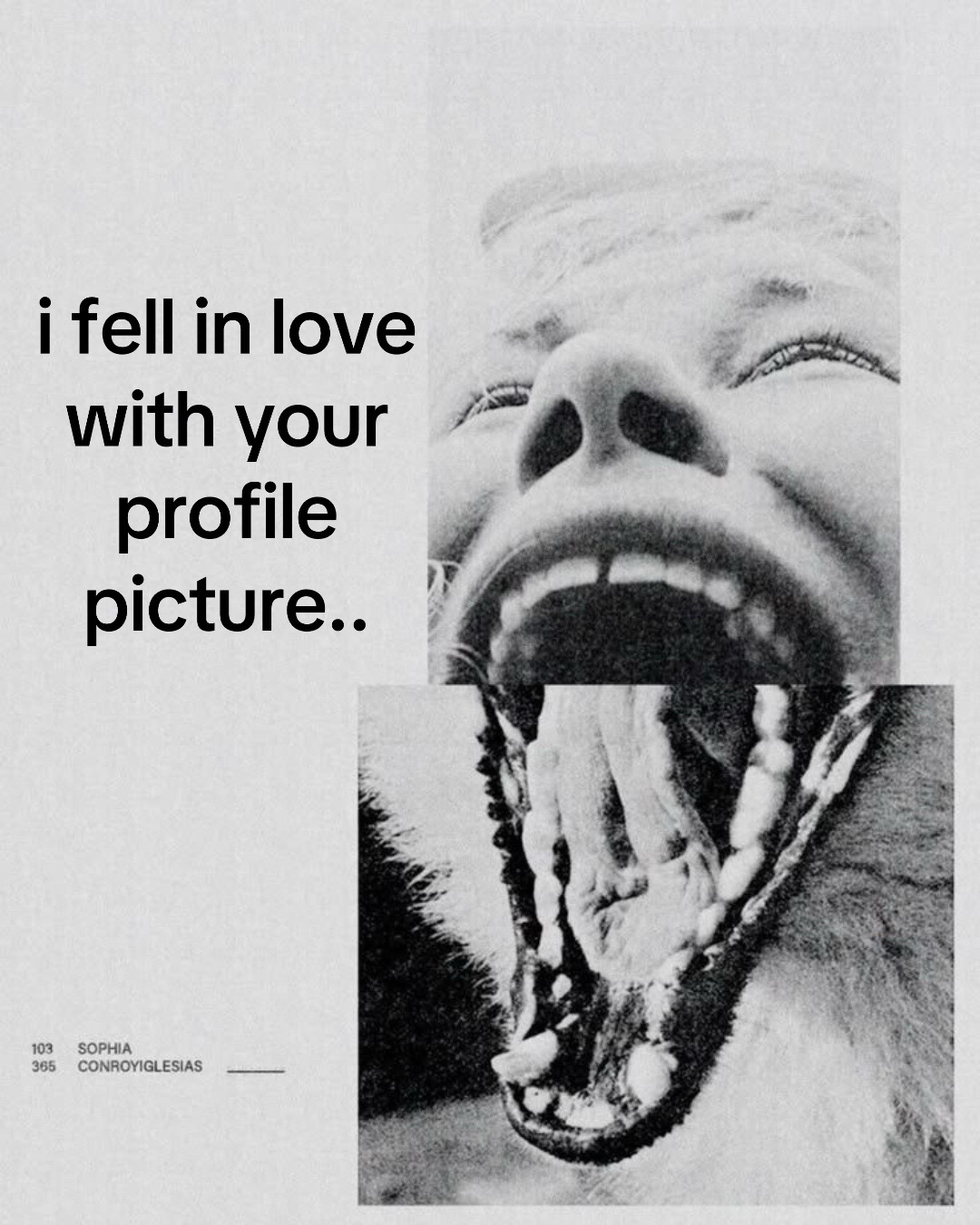 @🪲