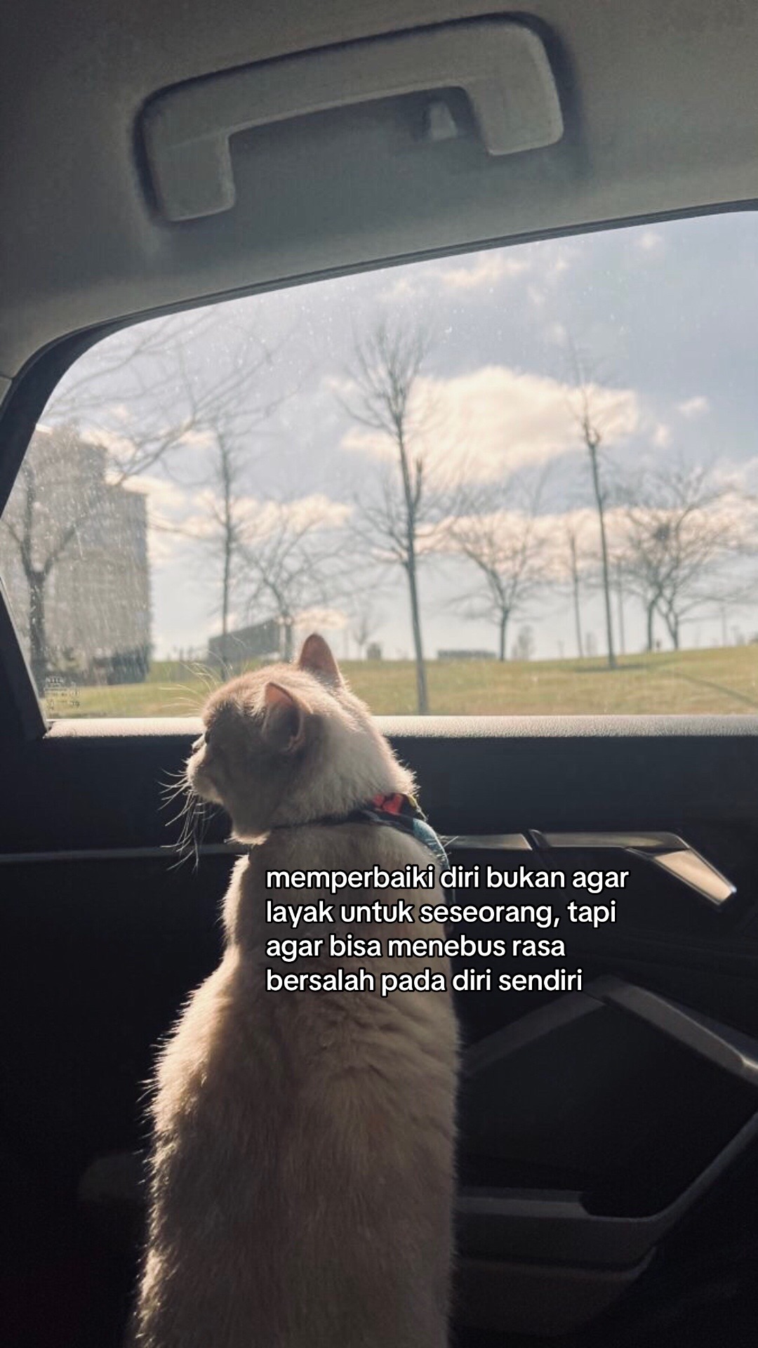 @mas m