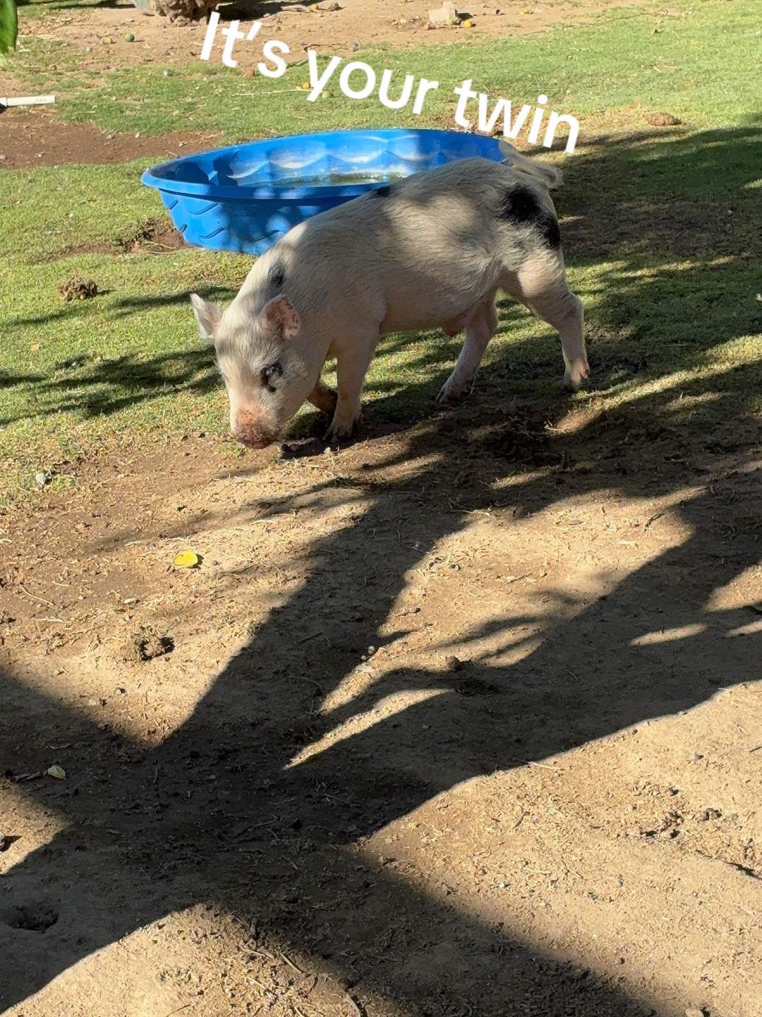 @首