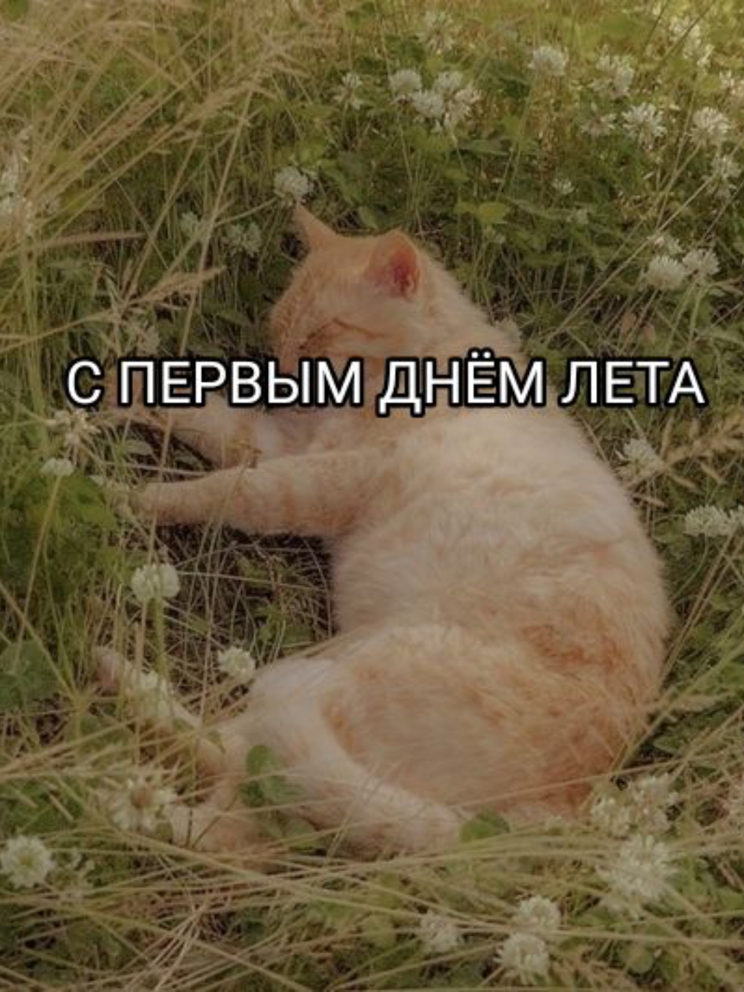 @∆ЮриКо∆@