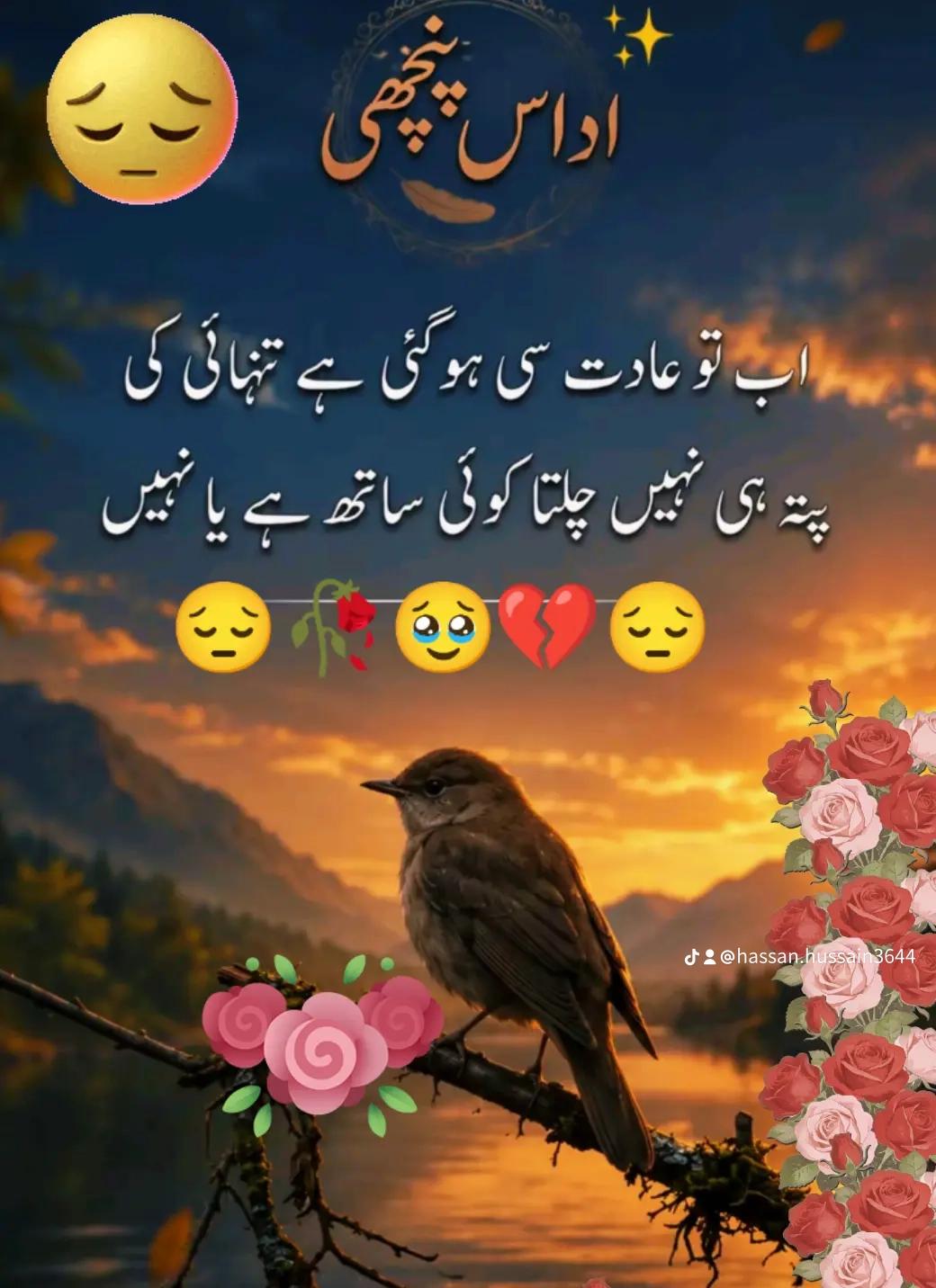 @Hassan Hussain💞