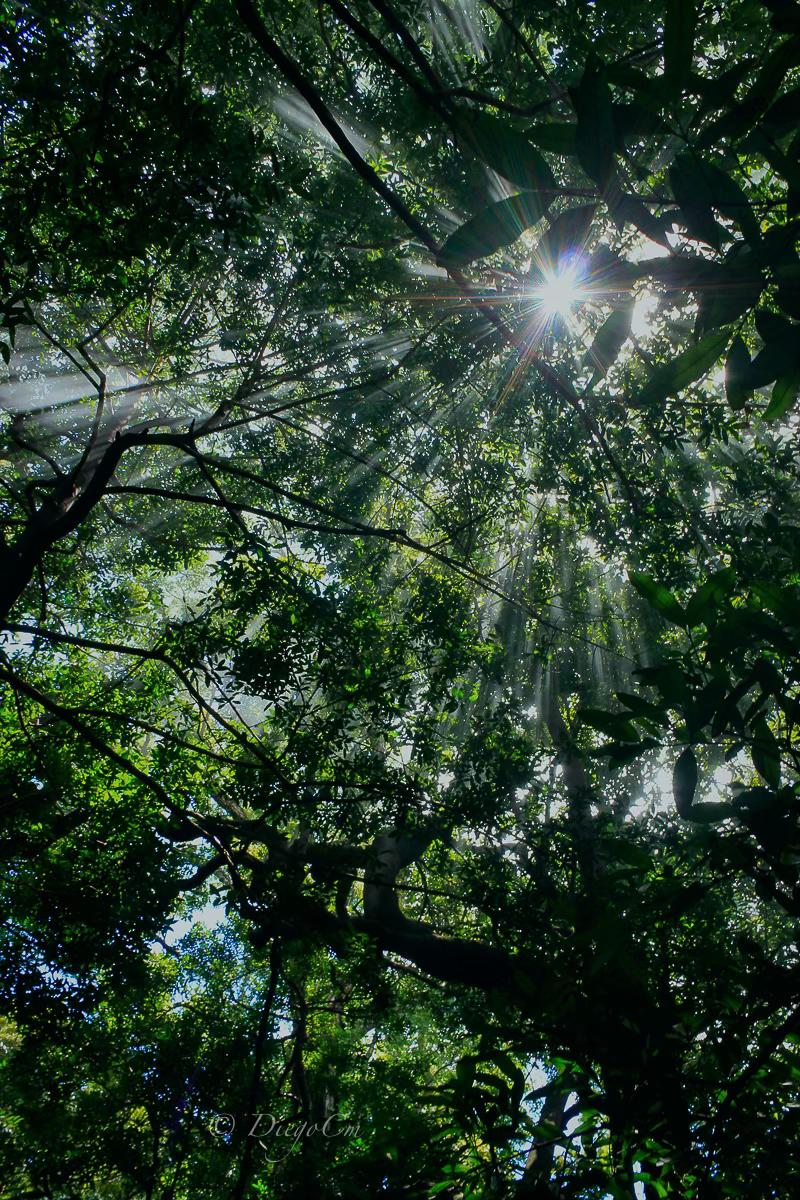 @DiegoJ-Naturaleza