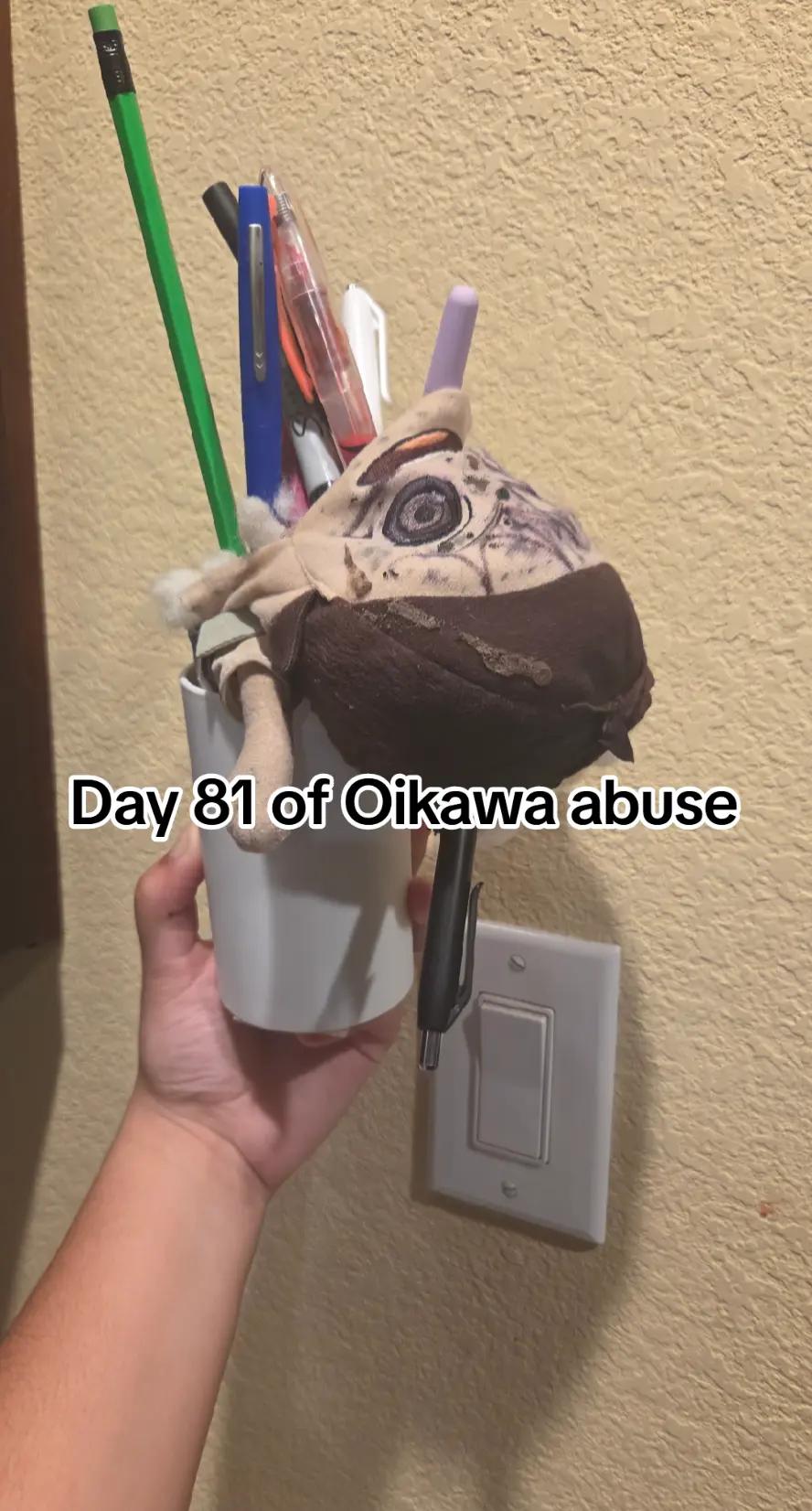 @Oikawaplushabuser