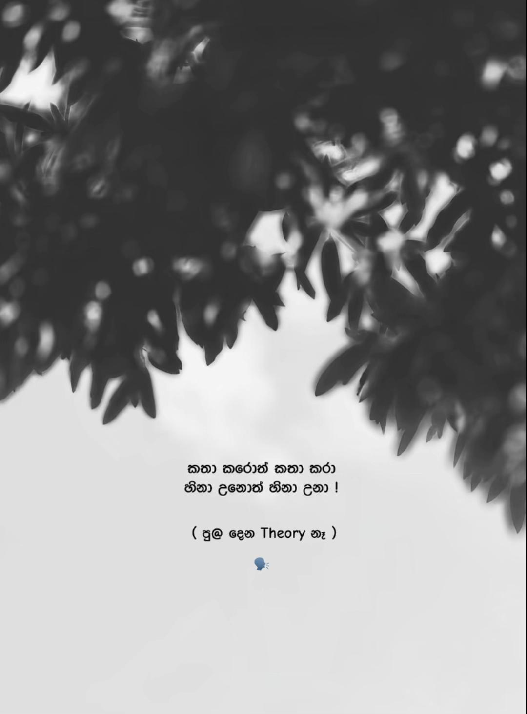 @ᵇ a t t ᵃ__official 🇱🇰 📽️