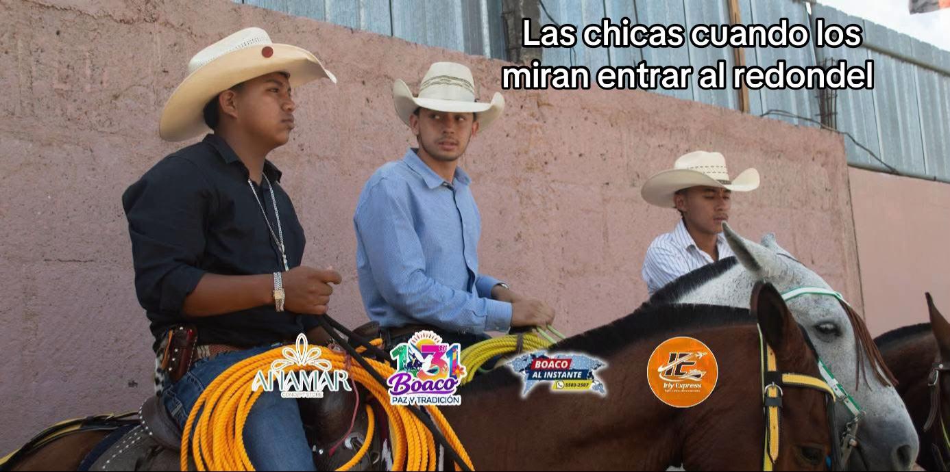 @alex_jr7788