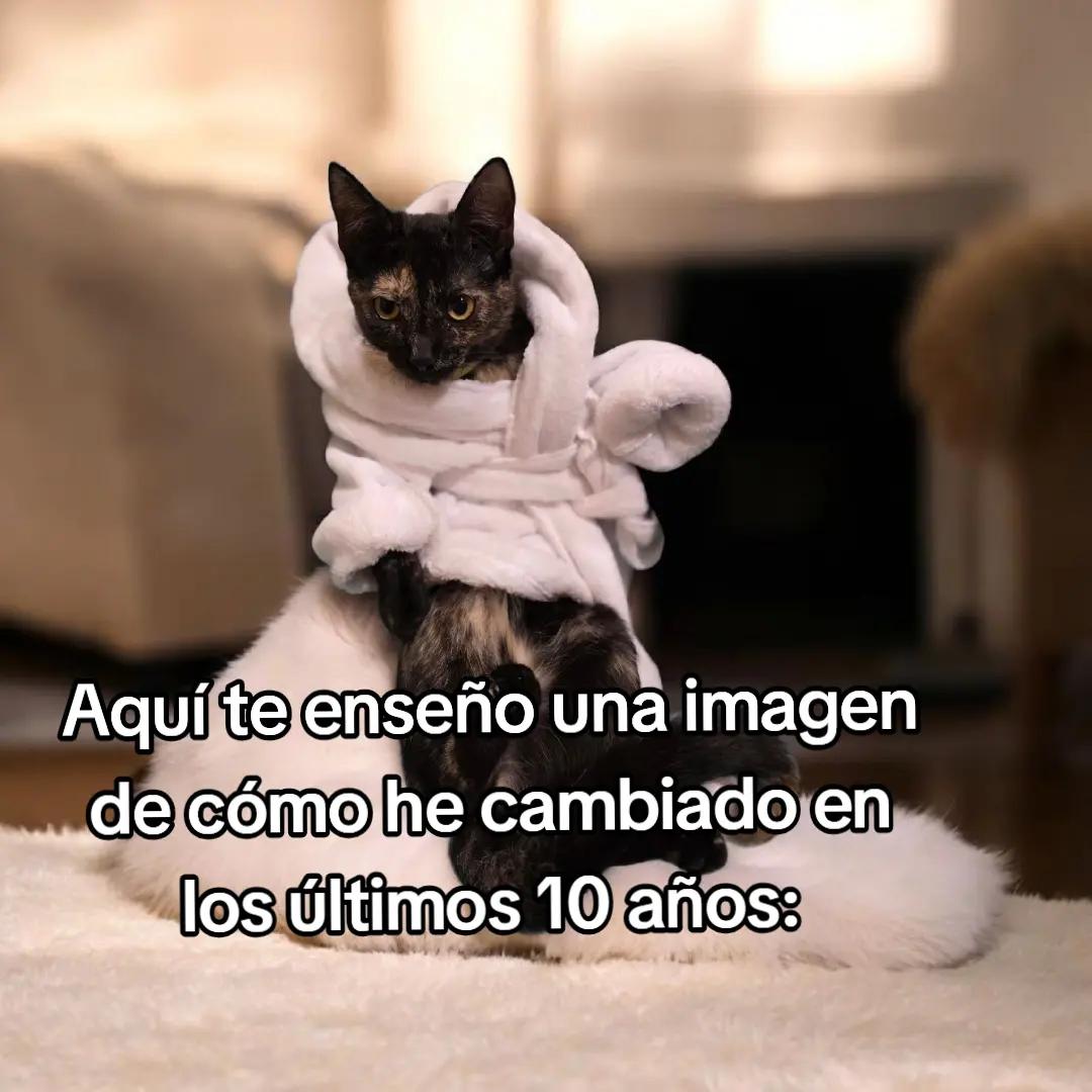 @María Chavana