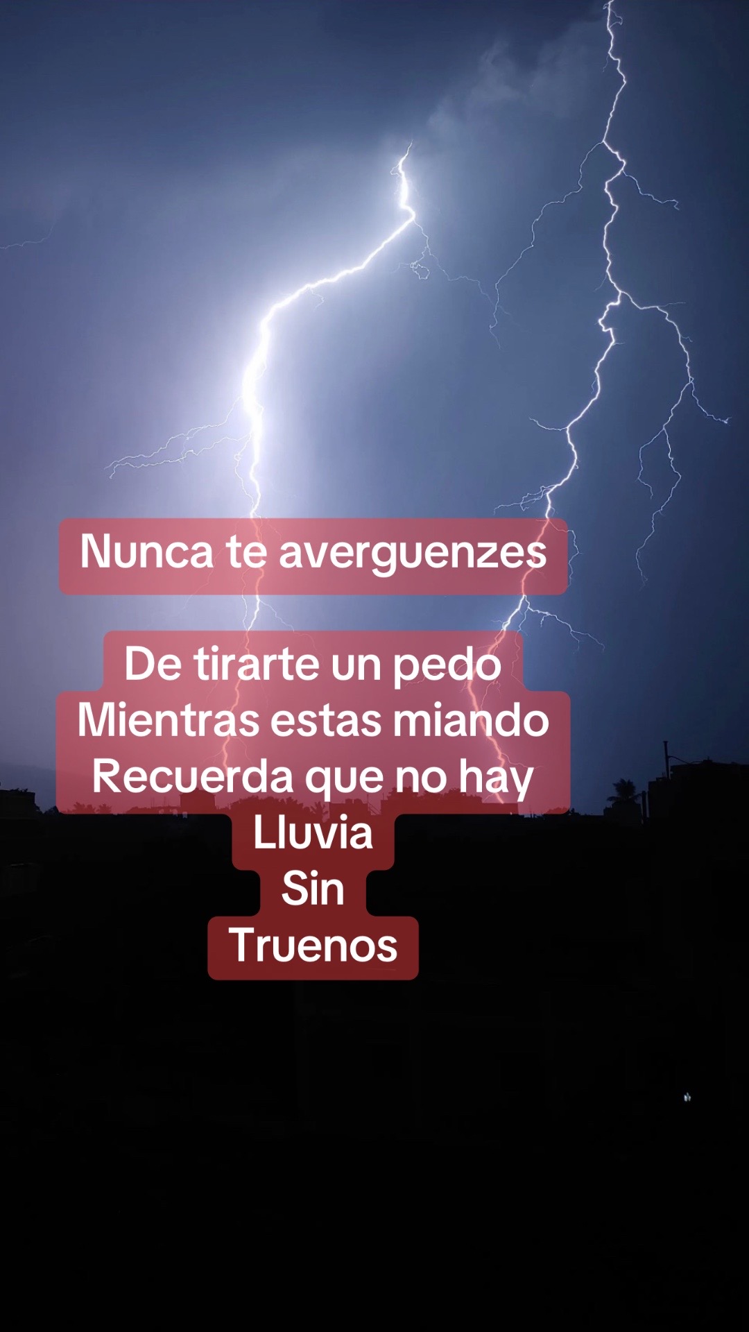 @danna16830