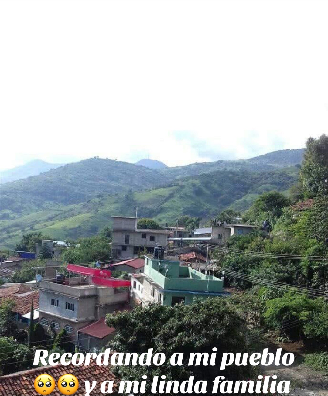 @Chiquita 💕🌸