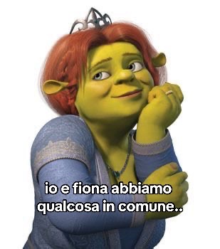 @Claudia Cardoni