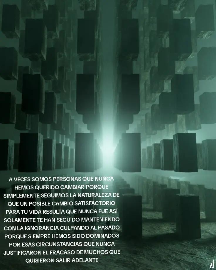 @NEO DERO